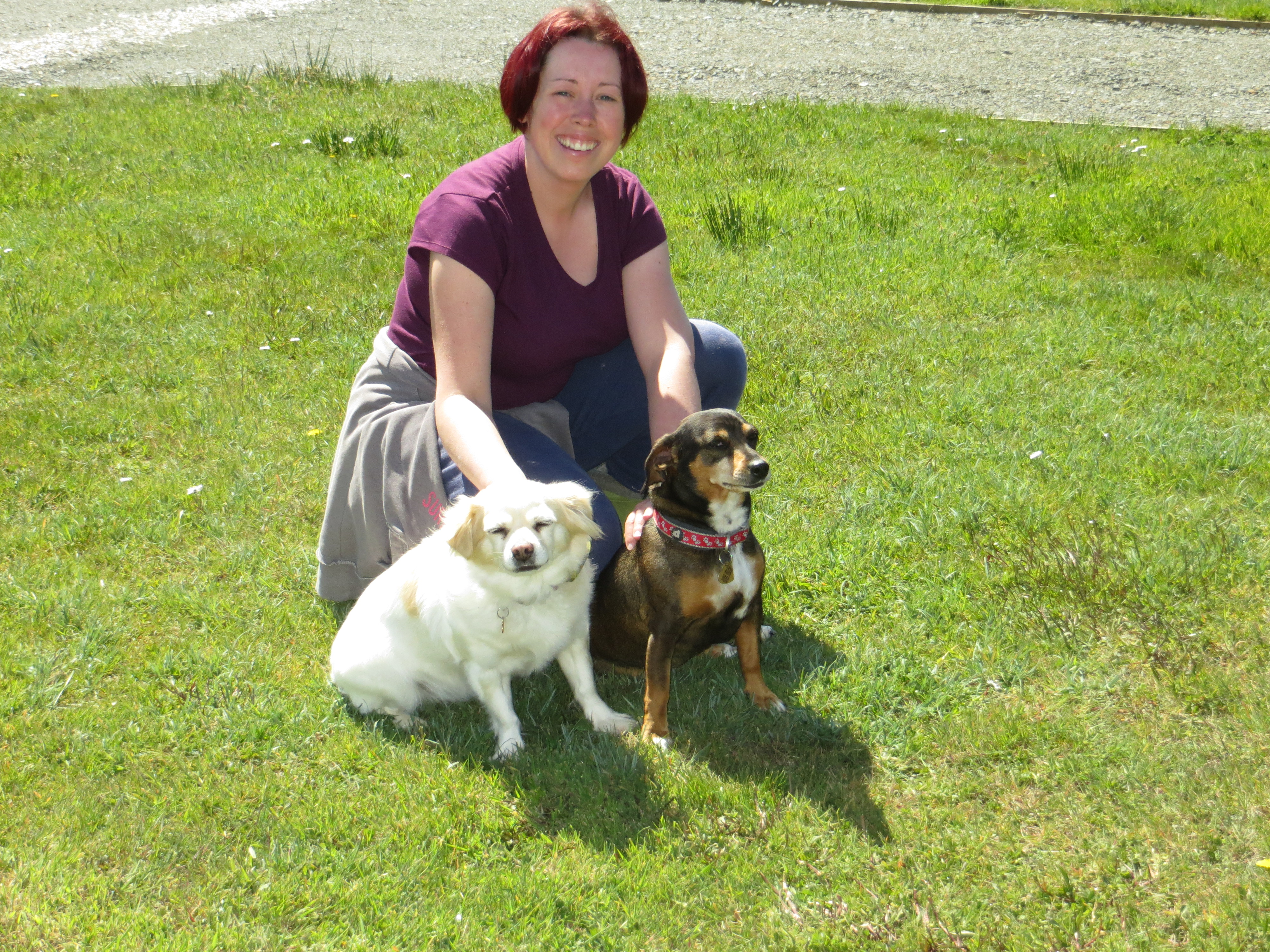 Wohnmobilstellplatz: Dog friendly - Little Trevothan Camping und Caravan Park - zone