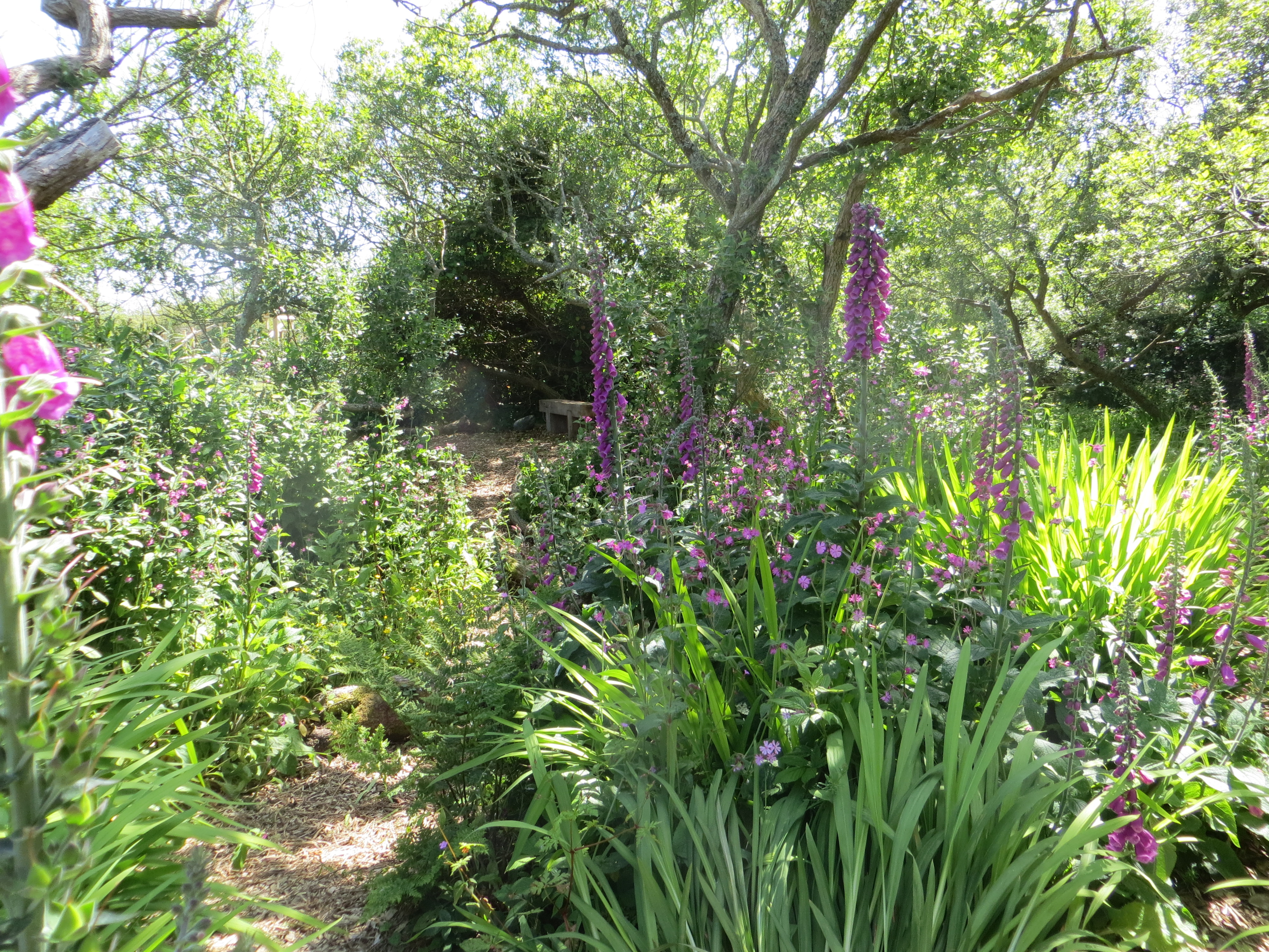 Wohnmobilstellplatz: Nature trail - Little Trevothan Camping und Caravan Park - zone