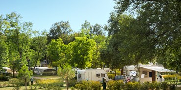 Reisemobilstellplatz - Wohnwagen erlaubt - Vabriga - Aminess Maravea Camping Resort