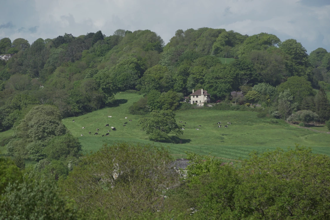 Wohnmobilstellplatz: Views from the park - Hook Farm Campsite