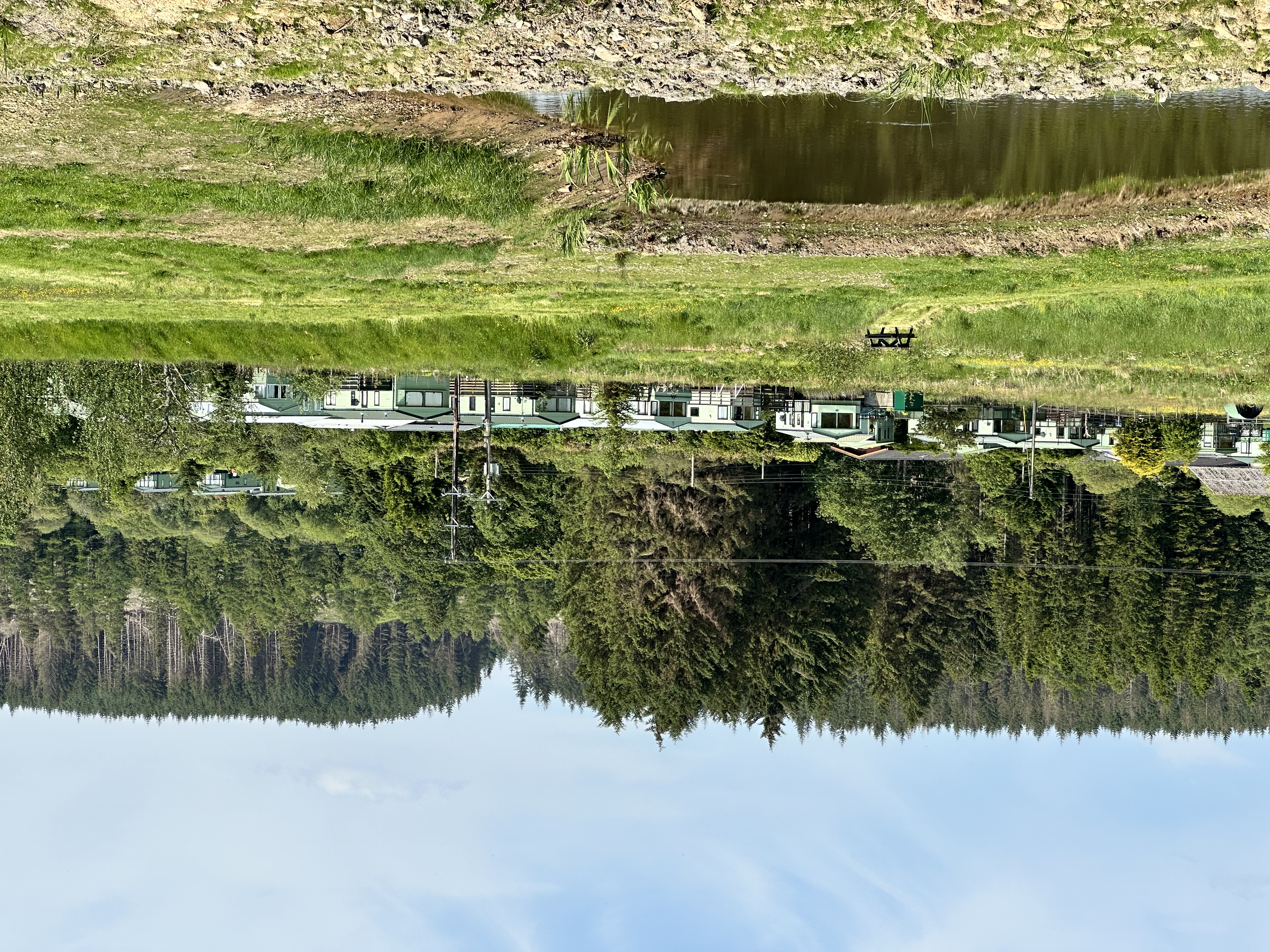Place de parking pour camping-car - Nord de l'Angleterre - The park - Border Forest Ferienpark