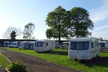 Wohnmobilstellplatz: King's Lynn Caravan & Camping Park