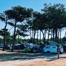 Wohnmobilstellplatz: Camping du Pin Sec