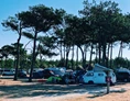 Wohnmobilstellplatz: Camping du Pin Sec