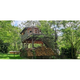 Wohnmobilstellplatz: Hochgelegene Hütte für 4 Personen - Camping Le Viaduc