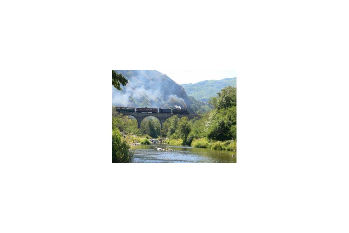 Wohnmobilstellplatz: der Ardèche-Zug auf dem Banchet-Viadukt - Camping Le Viaduc