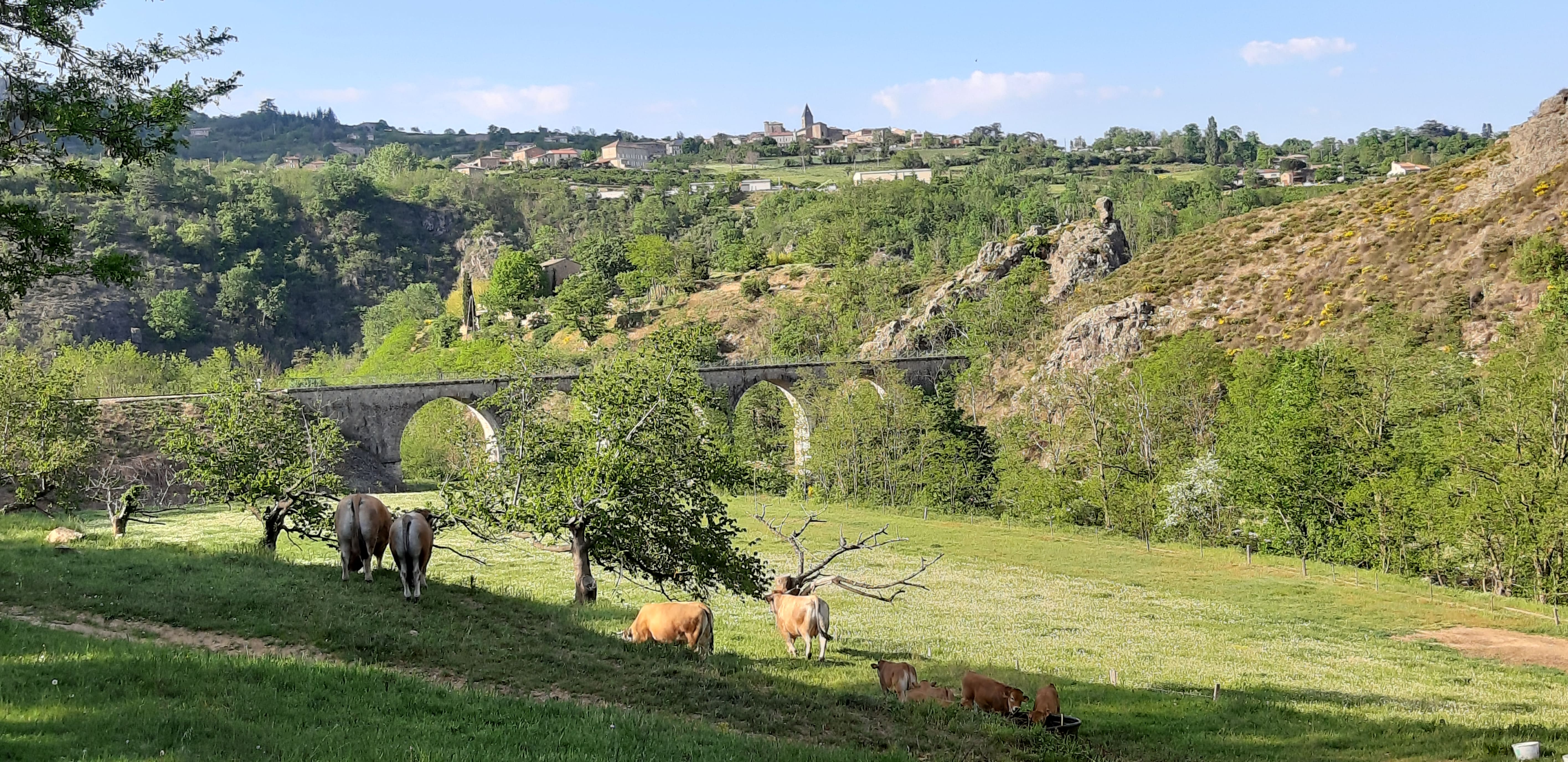 Wohnmobilstellplatz: das Dorf Arlebosc - Camping Le Viaduc