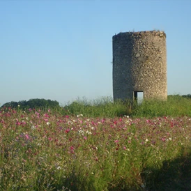 Wohnmobilstellplatz: Château Moulin de Peyronin