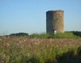 Wohnmobilstellplatz: Château Moulin de Peyronin