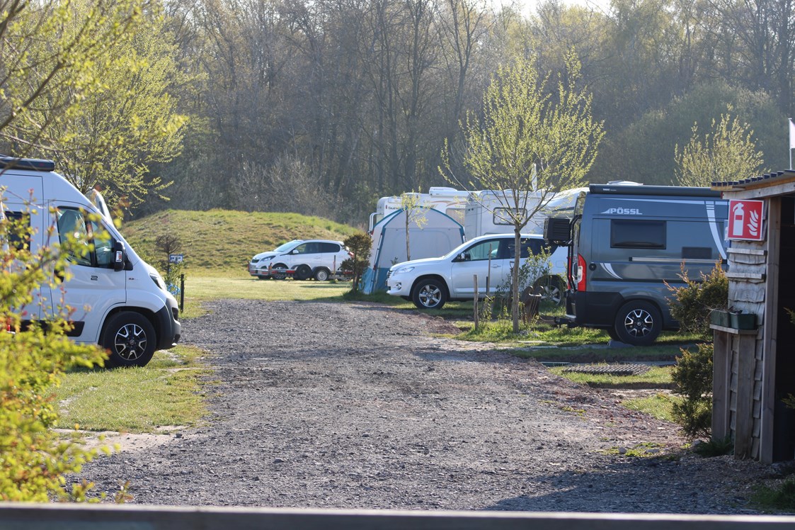 Wohnmobilstellplatz: Camping Stal 't Bardehof
