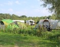 Wohnmobilstellplatz: tent plaats - Camping Stal 't Bardehof