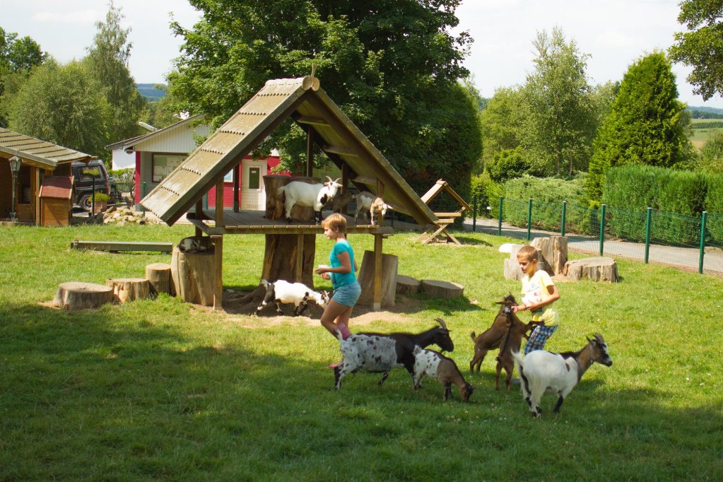 Wohnmobilstellplatz: Ziegen Streichelzoo - Camping Hohenbusch - Infrastructure