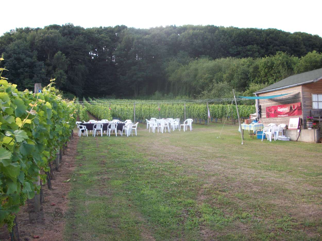 Reisemobilstellplatz - Antwerpen - Wijngaard Danouise