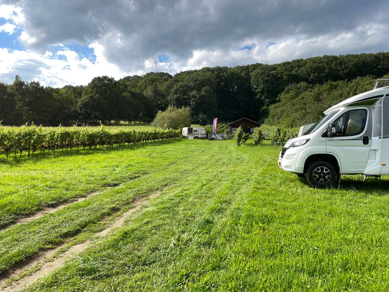 Reisemobilstellplatz - Antwerpen - Wijngaard Danouise