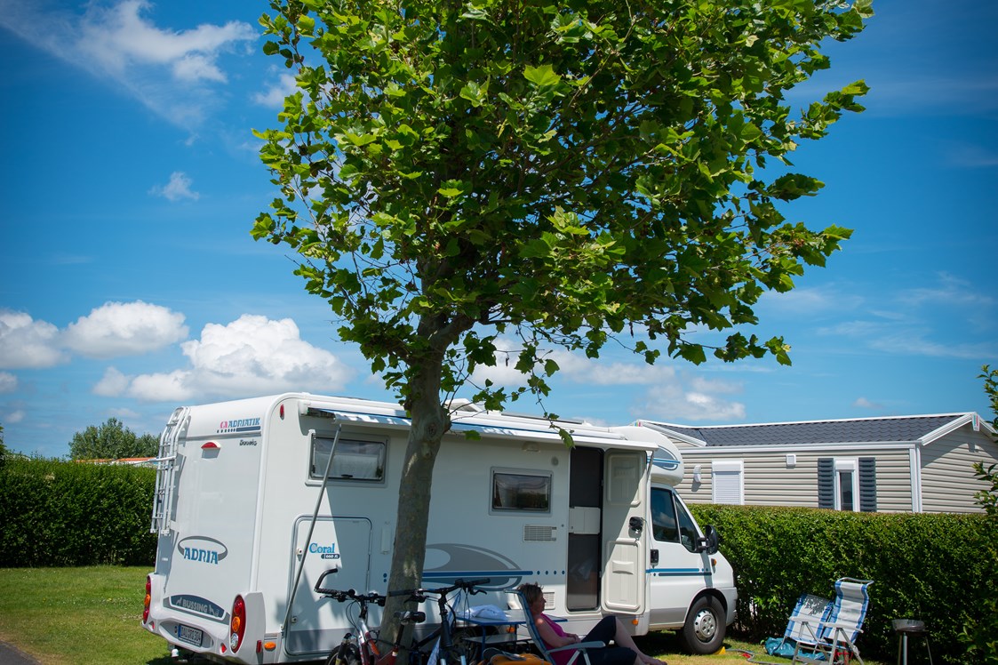 Wohnmobilstellplatz: Camping Duinezwin