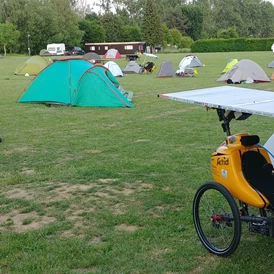 Wohnmobilstellplatz: Camping Druivenland