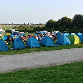 Wohnmobilstellplatz: Camping Druivenland