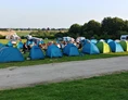 Wohnmobilstellplatz: Camping Druivenland