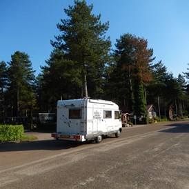 Wohnmobilstellplatz: Camping Tulderheyde