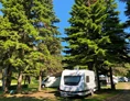 Wohnmobilstellplatz: Campsite Kapinovski Monastery