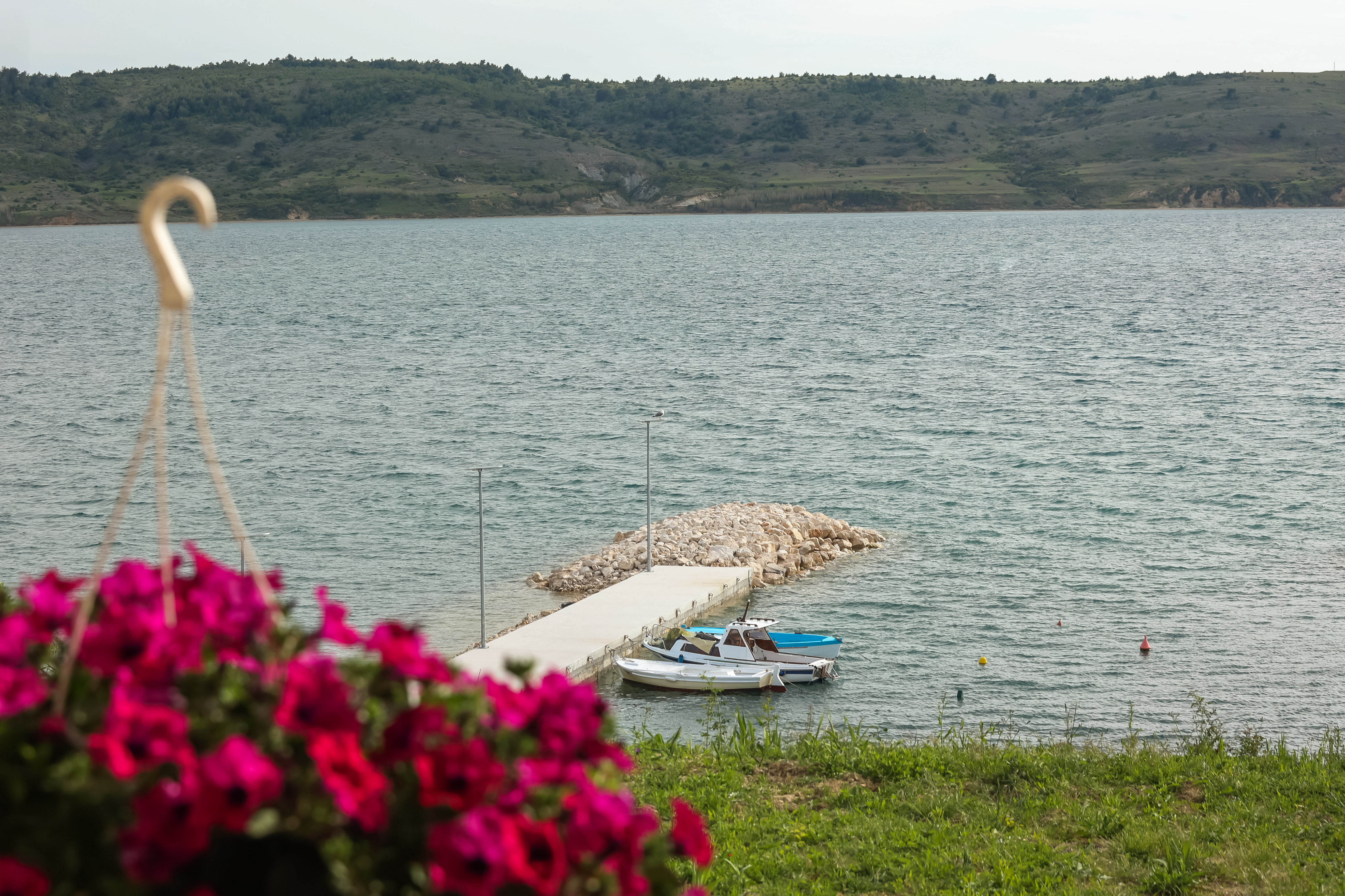 Reisemobilstellplatz - Starigrad Paklenica - Die Blumen auf der Terrasse - Autocamp Miocic