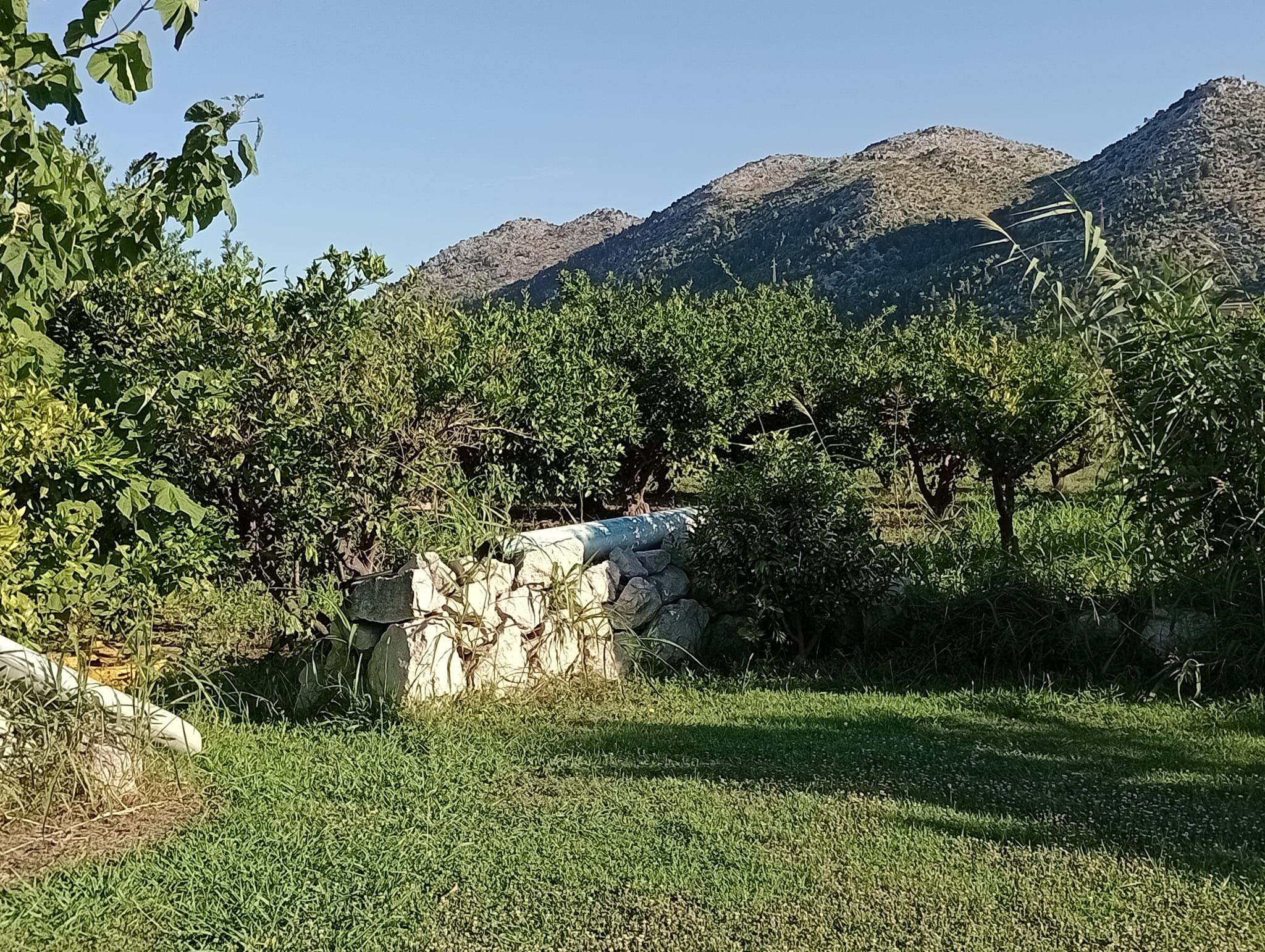 Reisemobilstellplatz - Split - Süd - Good Energy Camping Opuzen - Good Energy Factory