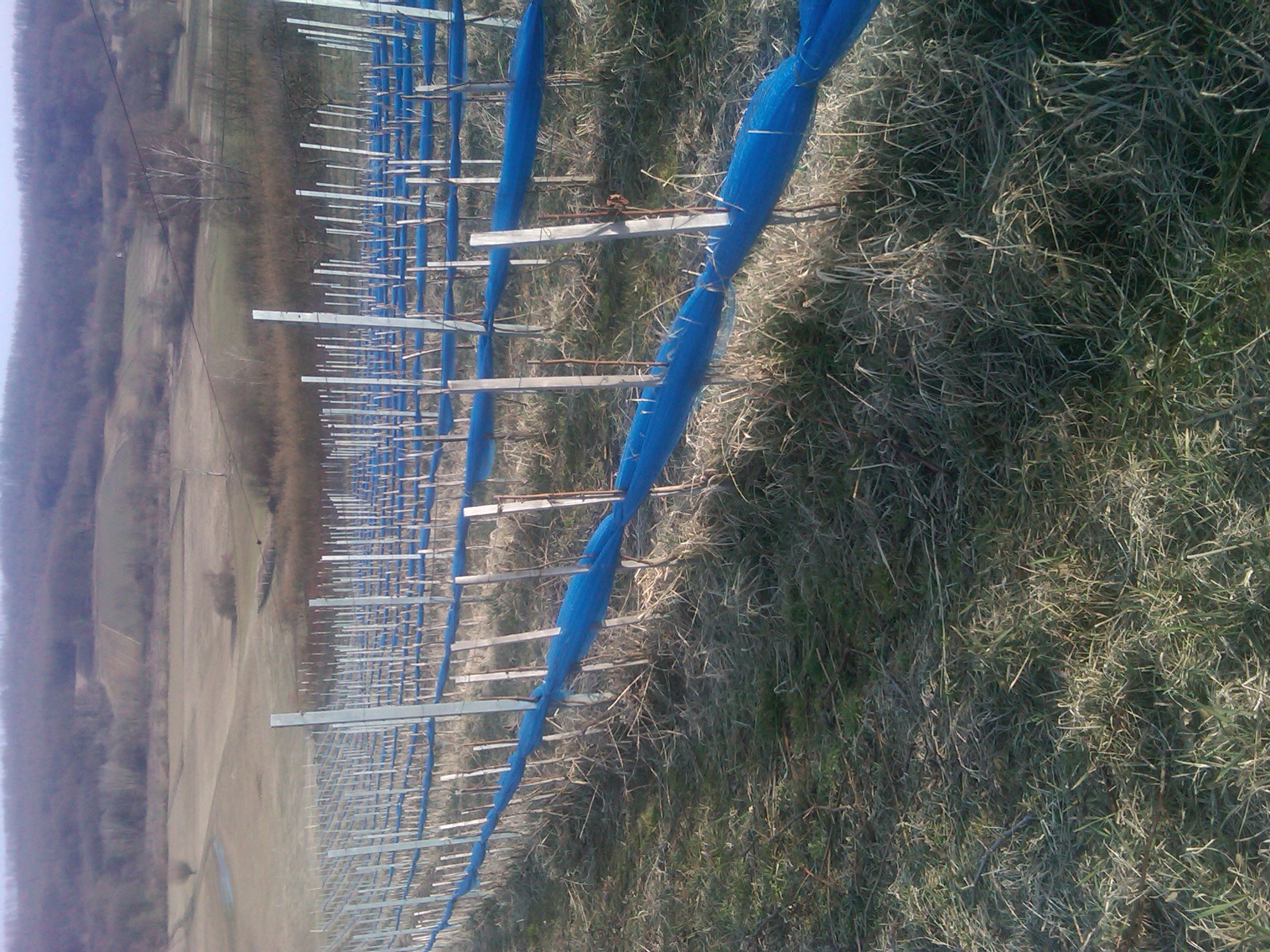 Reisemobilstellplatz: Mini camping Vinia