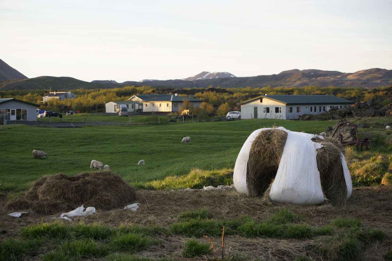 Reisemobilstellplatz - Wohnwagen erlaubt - Island - Camping Vogar Travel Service