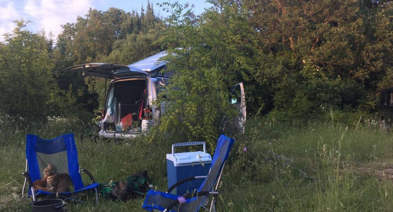 Wohnmobilstellplatz: Agape Farm Camp