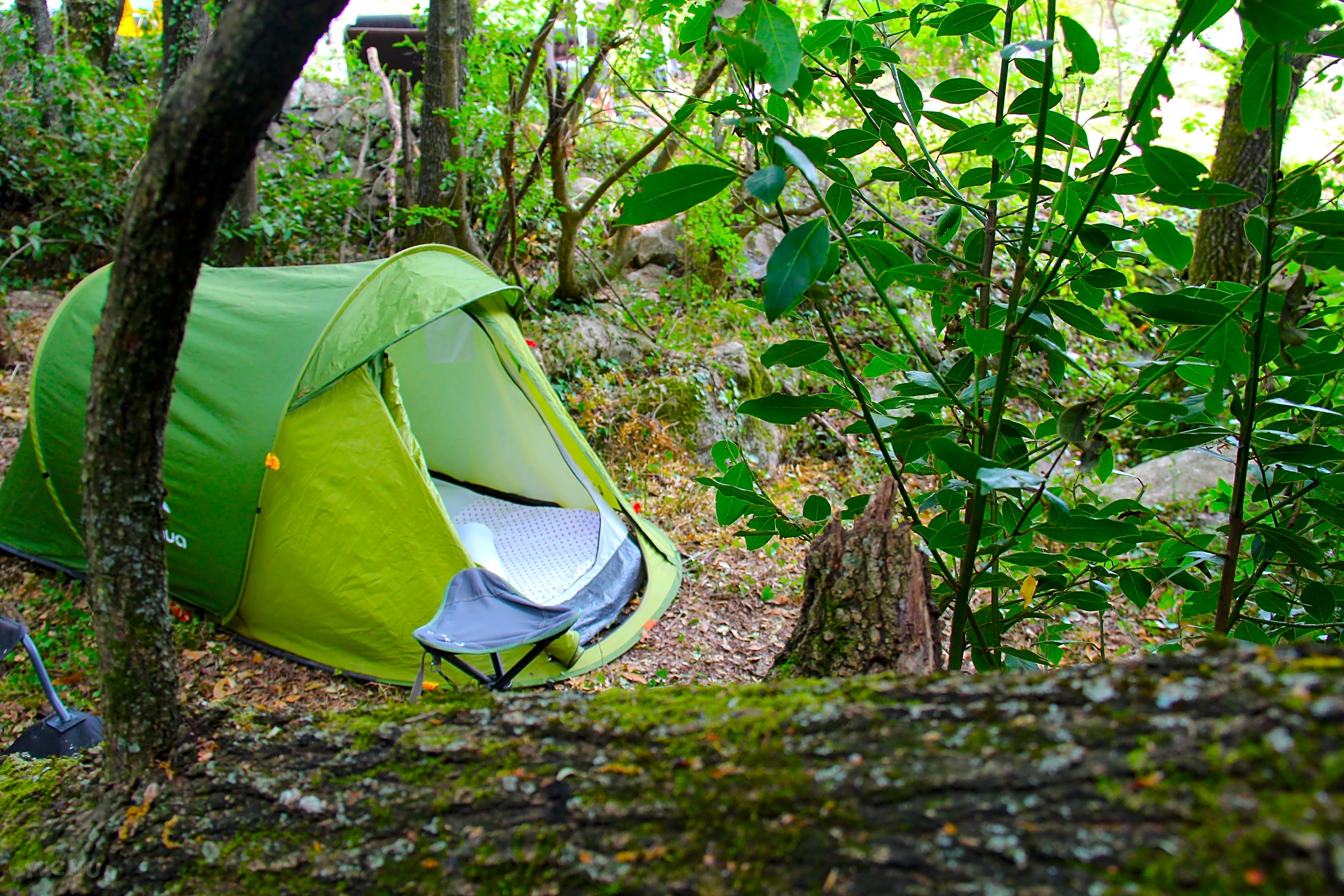 Wohnmobilstellplatz: Agape Farm Camp