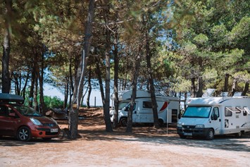 Wohnmobilstellplatz: RVPark in Shadow - MCM Camping