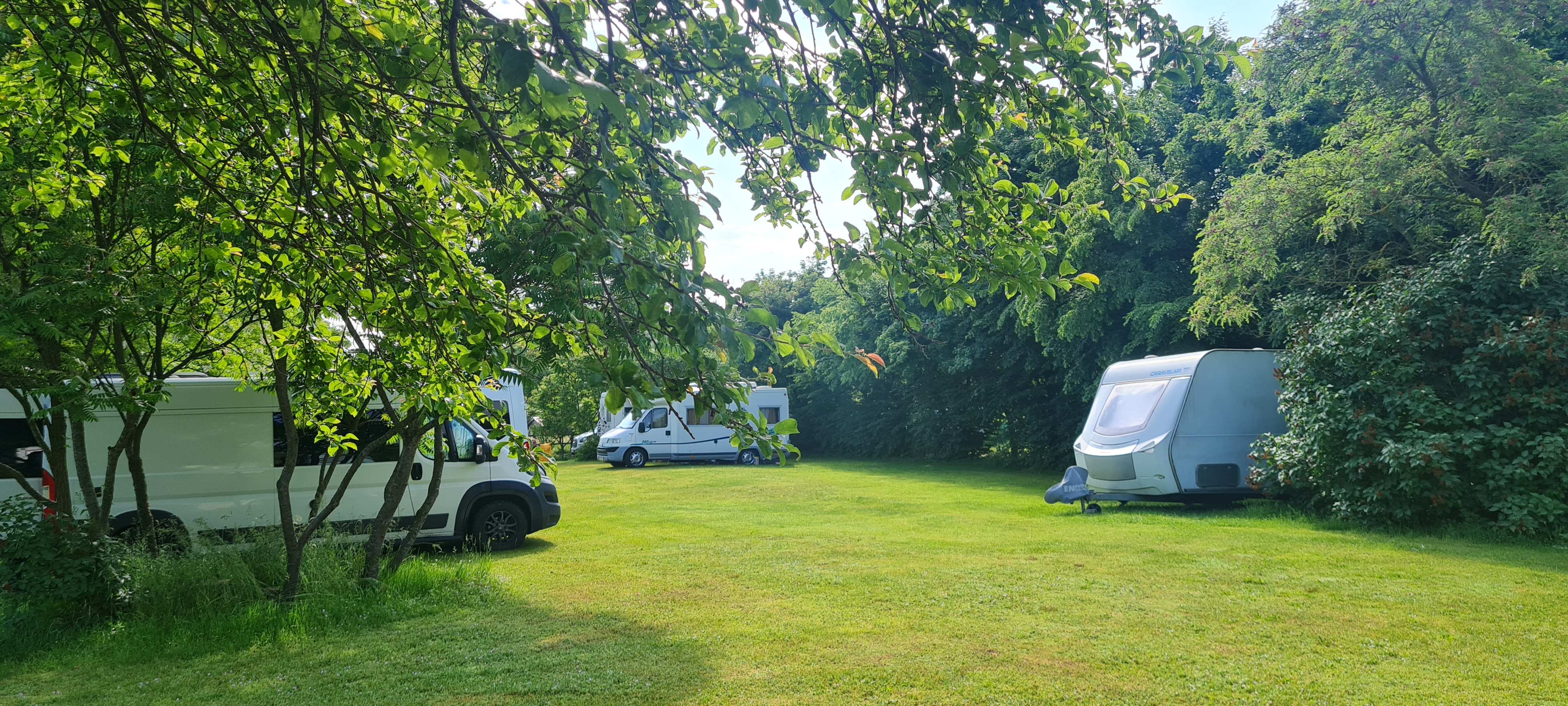 Wohnmobilstellplatz: camping - Camping De Oude Wilg