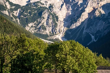 Wohnmobilstellplatz: Camping Šenkova Domačija