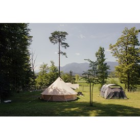 Wohnmobilstellplatz: Part of our meadow with mountain view. - Forest Camping Mozirje