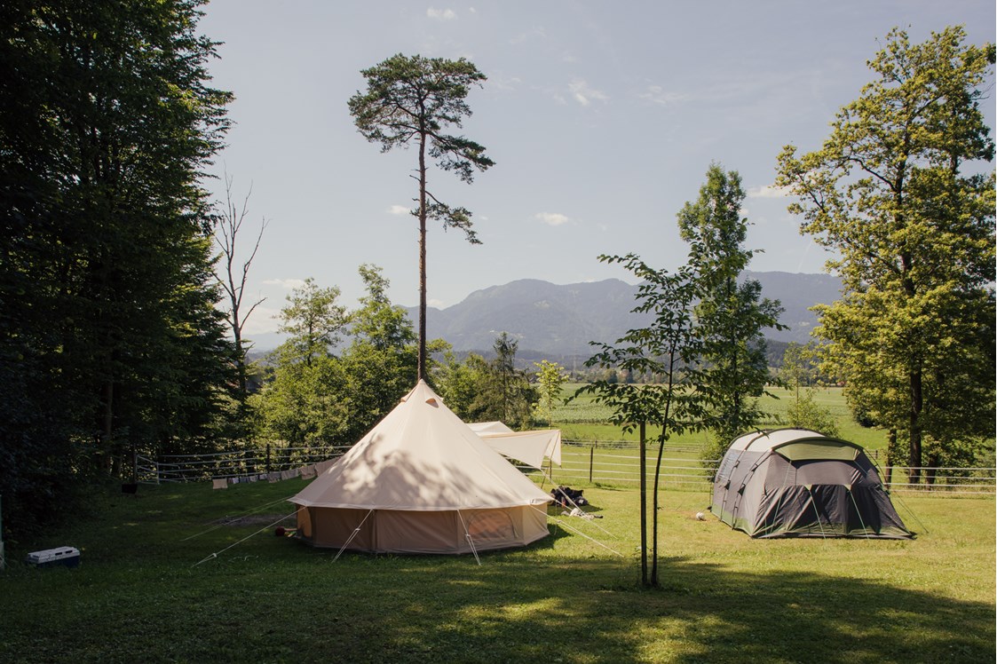 Wohnmobilstellplatz: Part of our meadow with mountain view. - Forest Camping Mozirje
