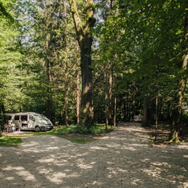 Wohnmobilstellplatz: Forest area pitches - Forest Camping Mozirje