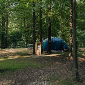 Wohnmobilstellplatz: Forest area pitches - Forest Camping Mozirje