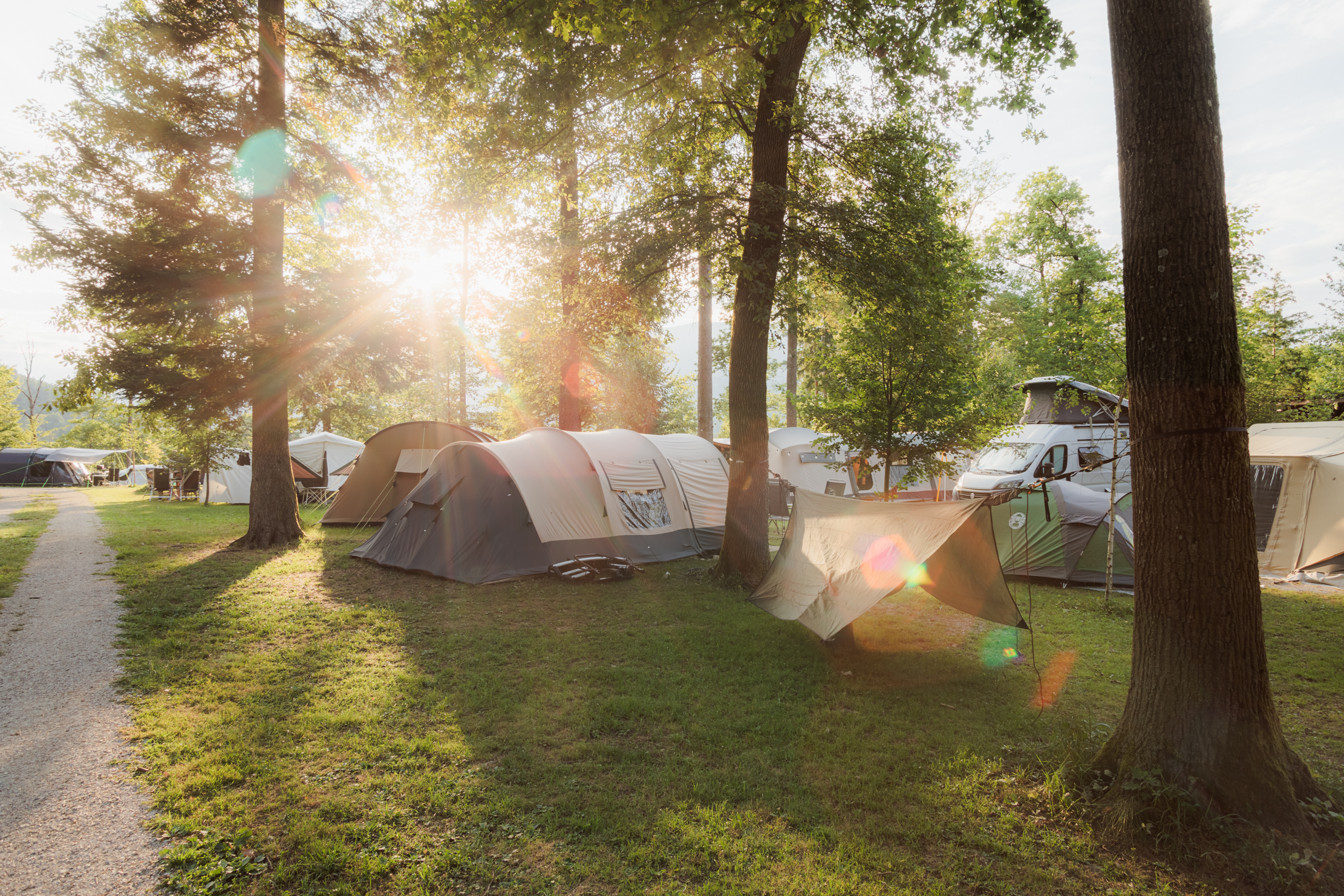 Wohnmobilstellplatz: Area with mountain view - tent pitches - Forest Camping Mozirje