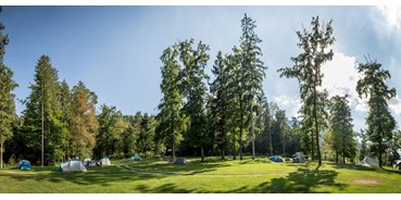 Reisemobilstellplatz - Wohnwagen erlaubt - Pomurje / Pohorjegebirge & Umgebung / Savinjska - Part of our Forest camping Mozirje - Forest Camping Mozirje