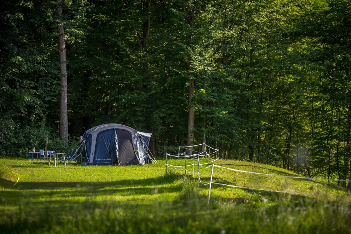 Wohnmobilstellplatz: Part of our Forest camping Mozirje - Forest Camping Mozirje