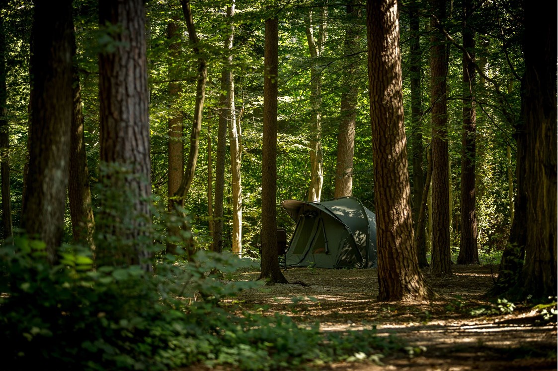 Wohnmobilstellplatz: Part of our woods - Forest Camping Mozirje