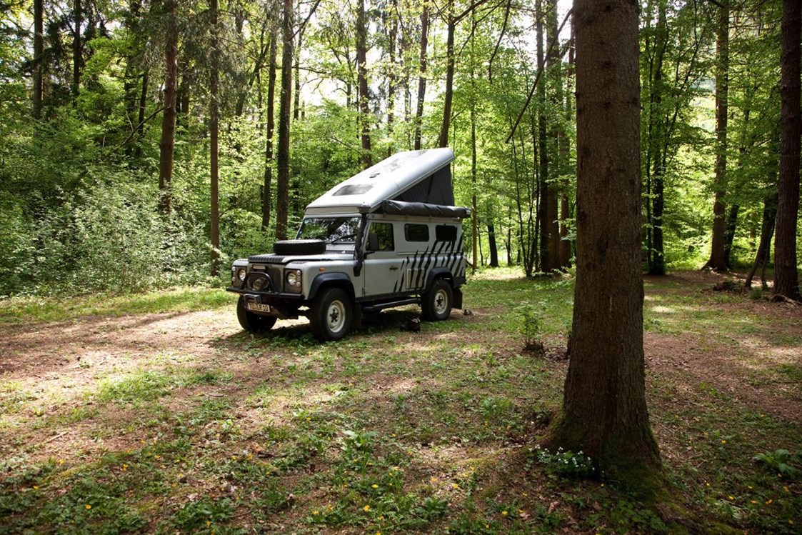 Wohnmobilstellplatz: Part of our woods - Forest Camping Mozirje