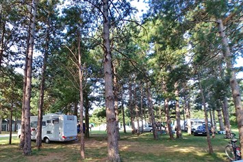 Wohnmobilstellplatz: Camping  Ajdovščina