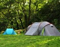 Wohnmobilstellplatz: Camping Campix