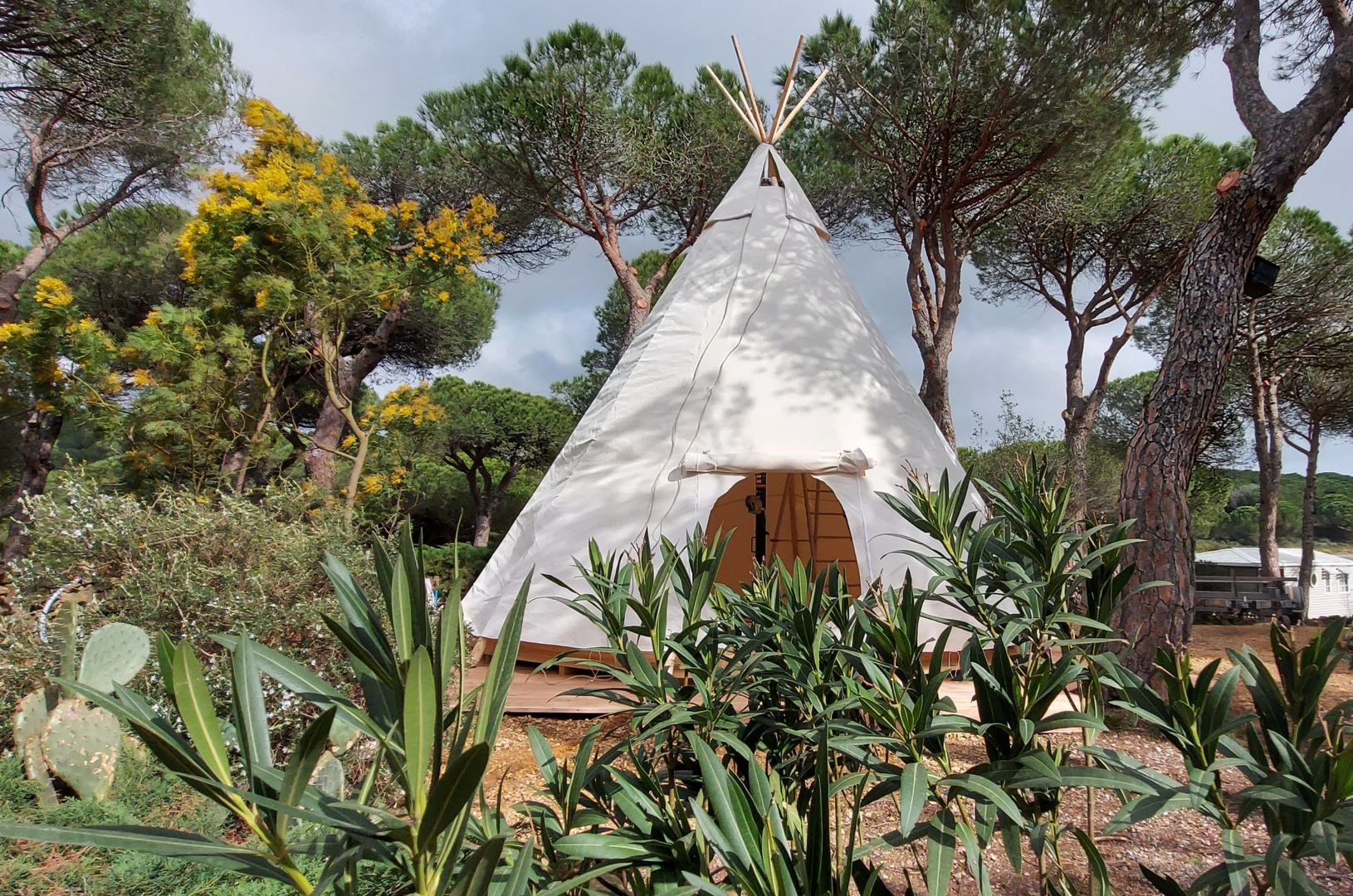 RV park - Languedoc-Roussillon - Tipi - Campingplaats Figurotta