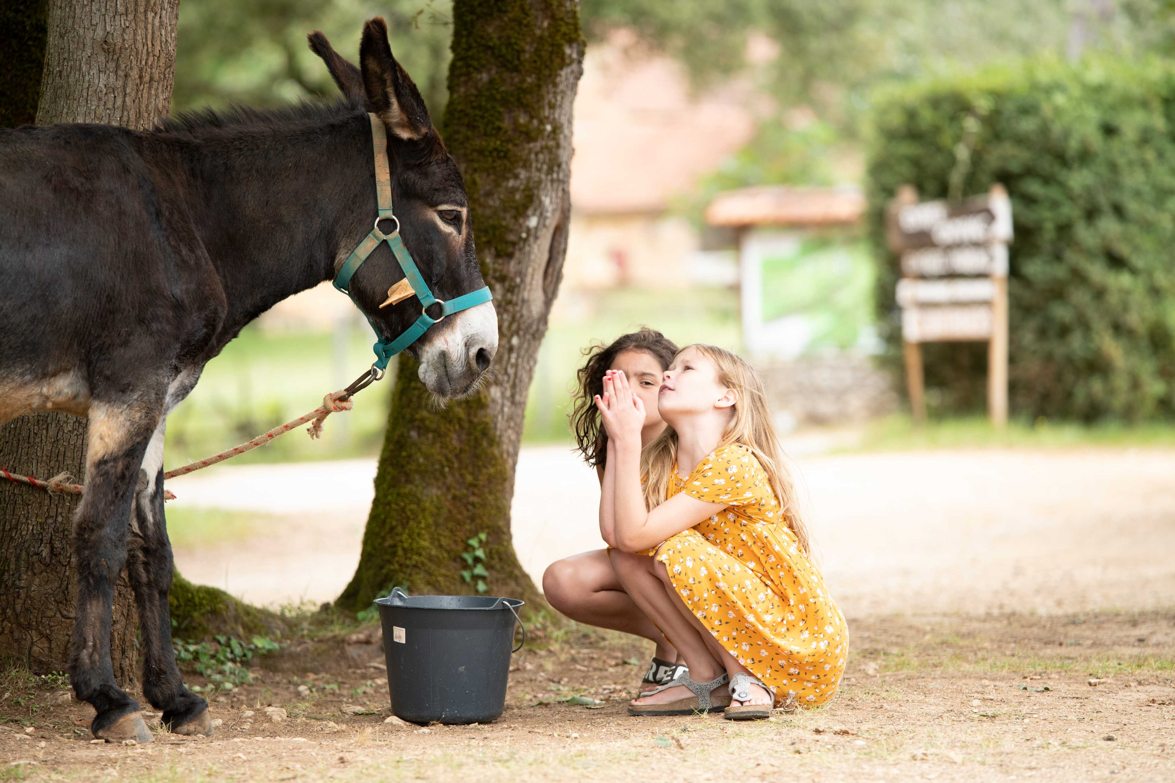 Wohnmobilstellplatz: Lucéa Chevalier