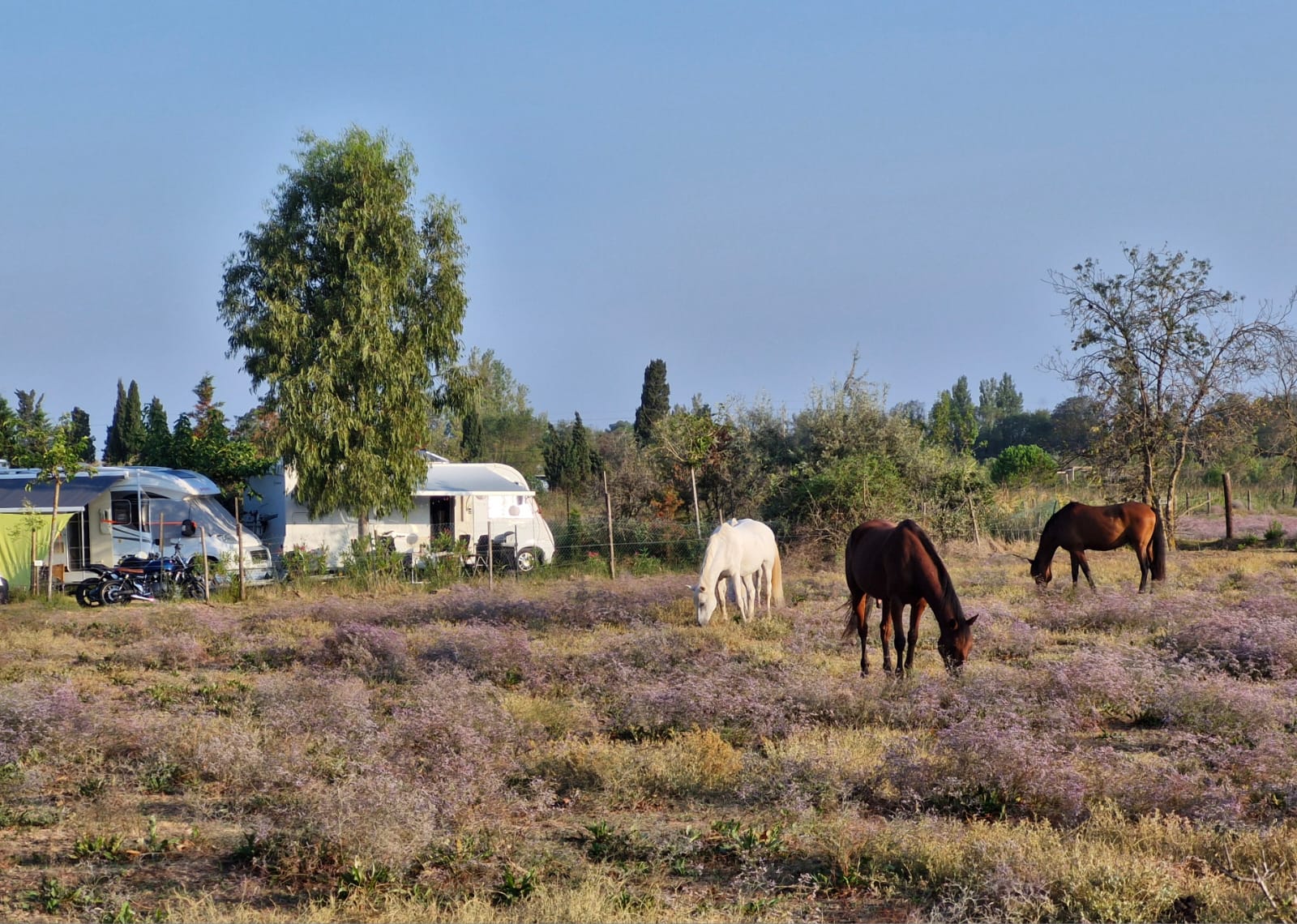 Reisemobilstellplatz - Art des Stellplatz: eigenständiger Stellplatz - Les Cabanes de Fleury - Die Pappeln