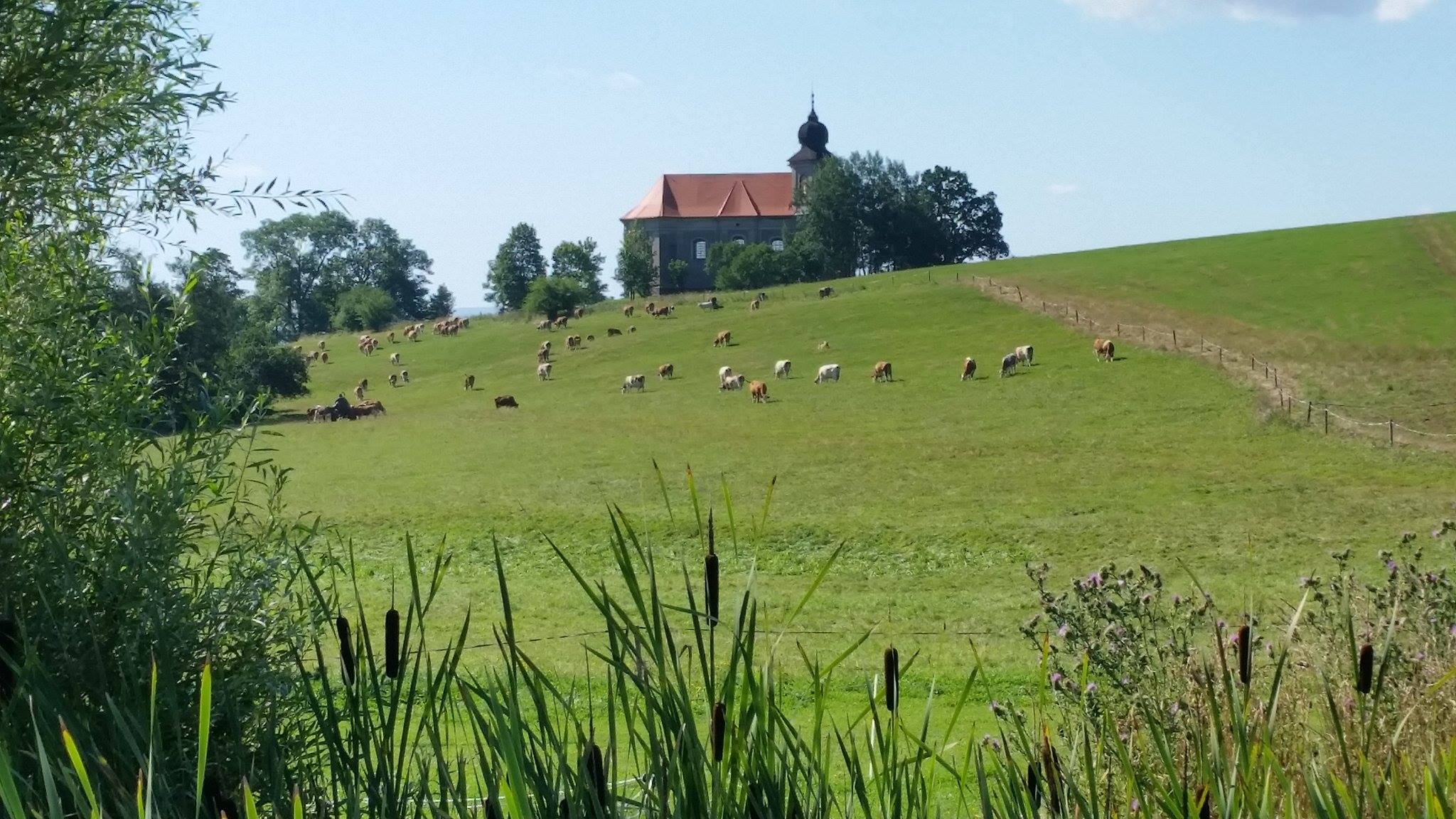 kampeerplaats voor campers - Božanov - Camping Sonov