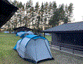 Wohnmobilstellplatz: Zelten - Camping La Provence