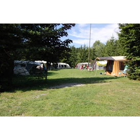 Wohnmobilstellplatz: SVR Camping De Bongerd CZ